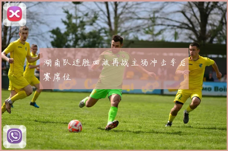 湖南队连胜回放再战主场冲击季后赛席位