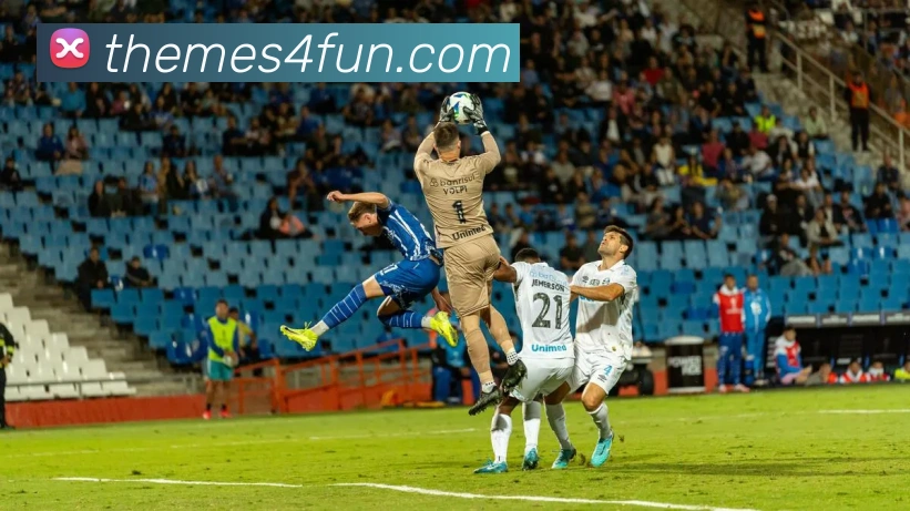 mksports最新消息平台生态图